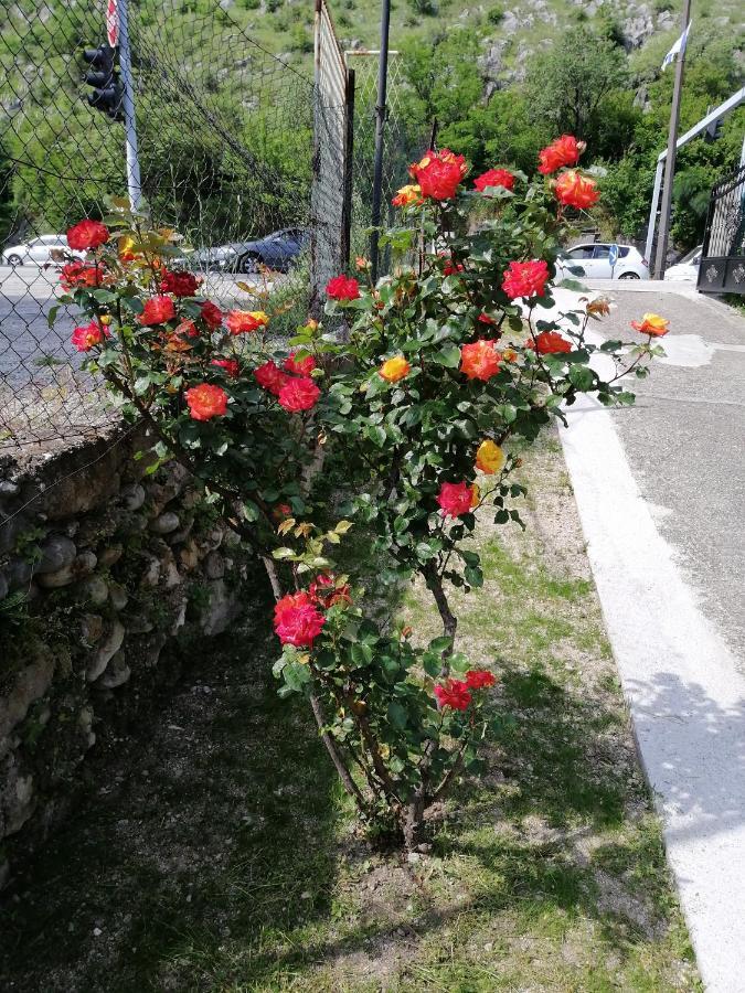 Apartmani Taki Mostar Eksteriør bilde